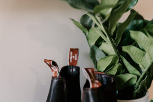 Professional videography photography and shoes near green plant