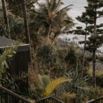 Professional videography photography and drone footage coastal view