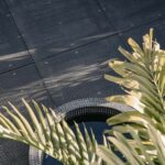 Professional videography photography drone footage palm details