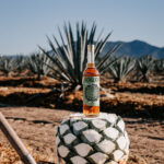 Professional videography photography drone shot of tequila bottle
