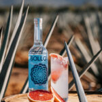 Professional videography showing tequila bottle in agave field