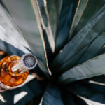 Professional videography product shot with a bottle and agave plant
