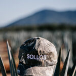 Professional videography photography and drone footage outdoors