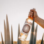 Professional videography of hand holding bottle near agave field