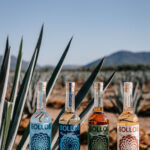 Professional videography showcasing bottled beverage outdoors