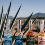 Professional videography of tequila bottles in agave fields