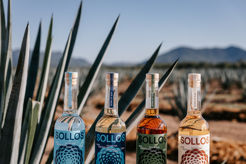 Professional videography of tequila bottles in agave fields