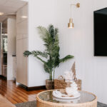 Coffee table and indoor plant in the 208 Boathouse living room