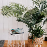 Indoor palm and side table at 208 Boathouse
