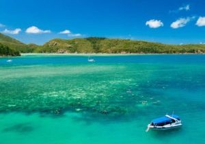 37 Mt Dangar Rd - Web Export-99