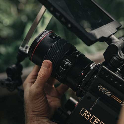 red camera hand on focus